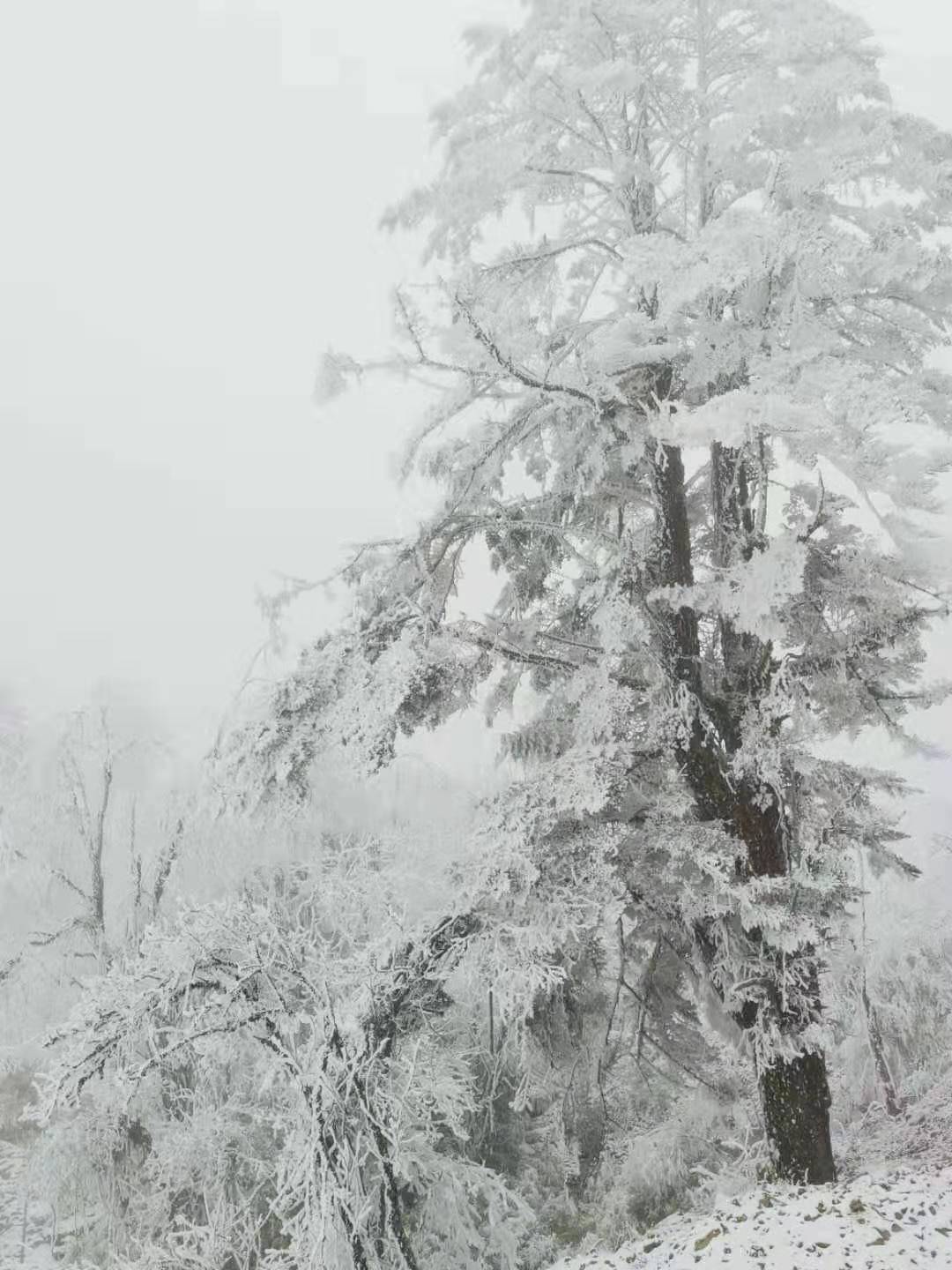 /Upload/201912/微信图片_2019122316272037.jpg