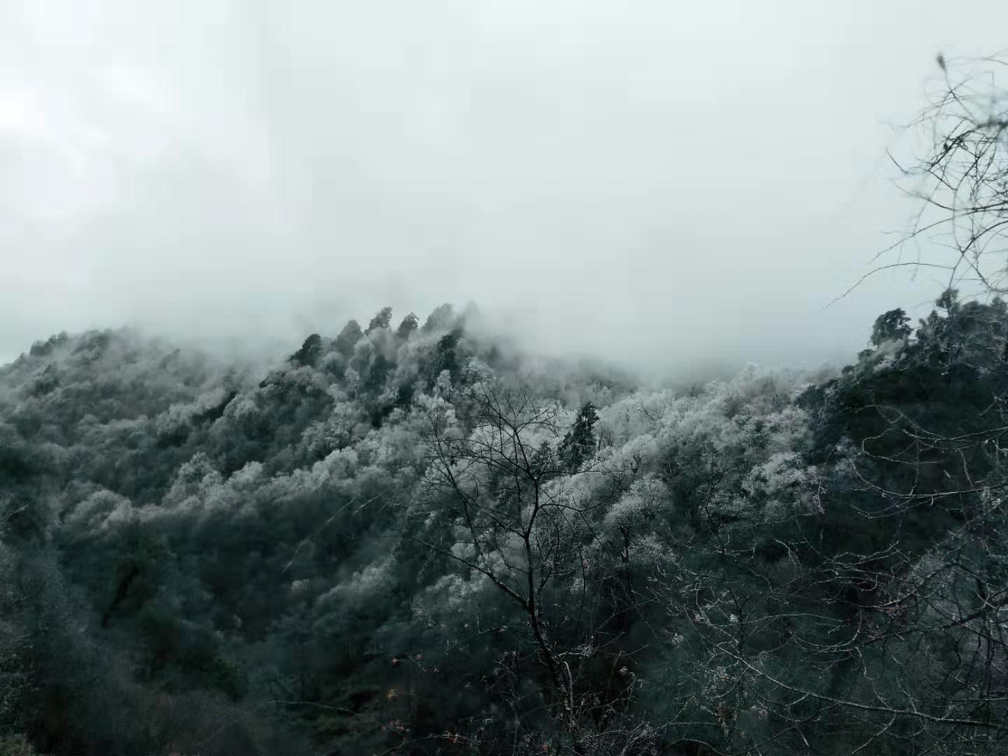 /Upload/201912/微信图片_201912231651161.jpg
