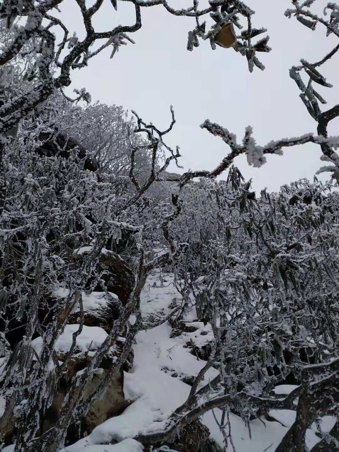 /Upload/201912/微信图片_2019122316511611.jpg