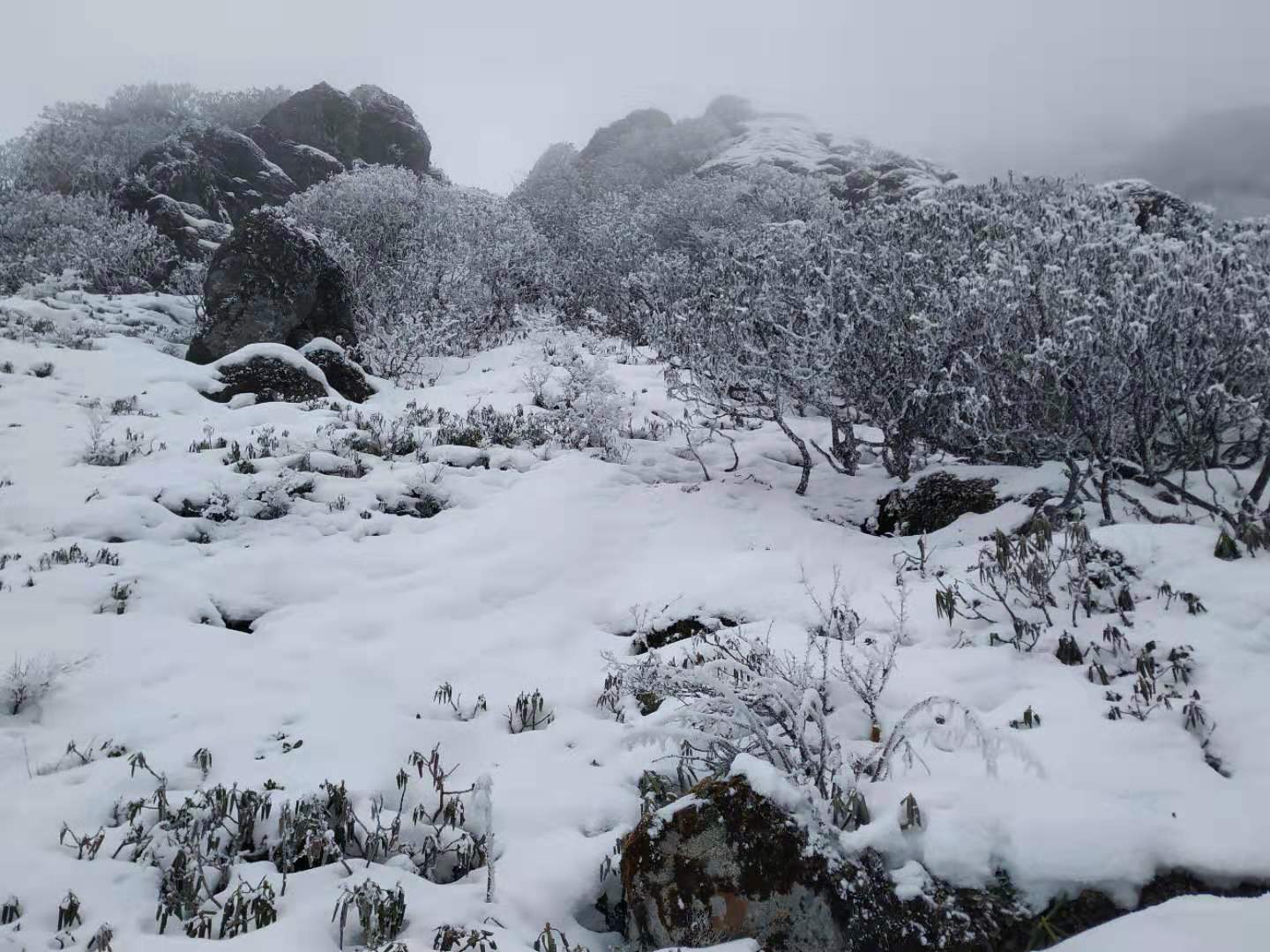 /Upload/201912/微信图片_2019122316511612.jpg