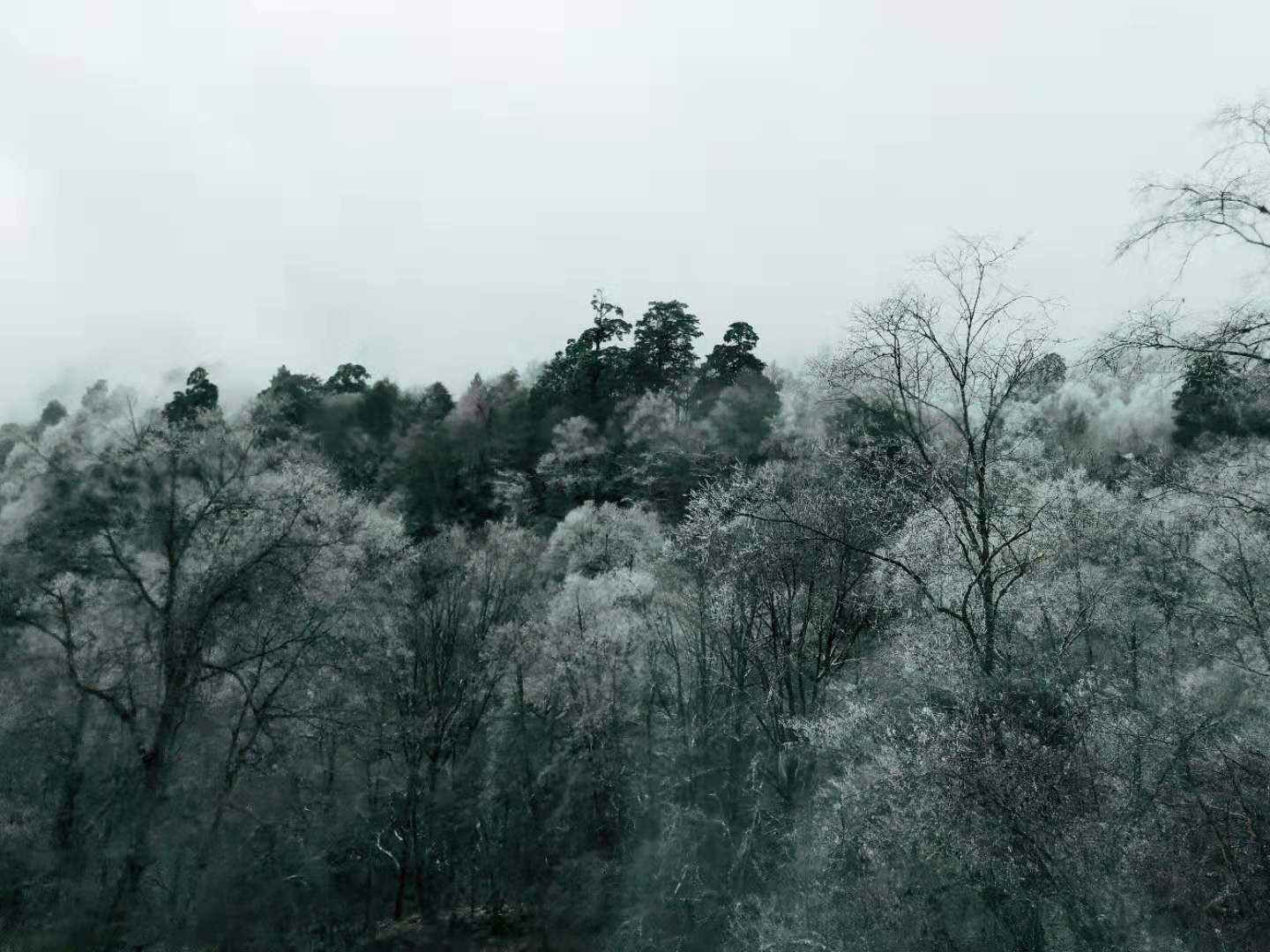 /Upload/201912/微信图片_201912231651162.jpg