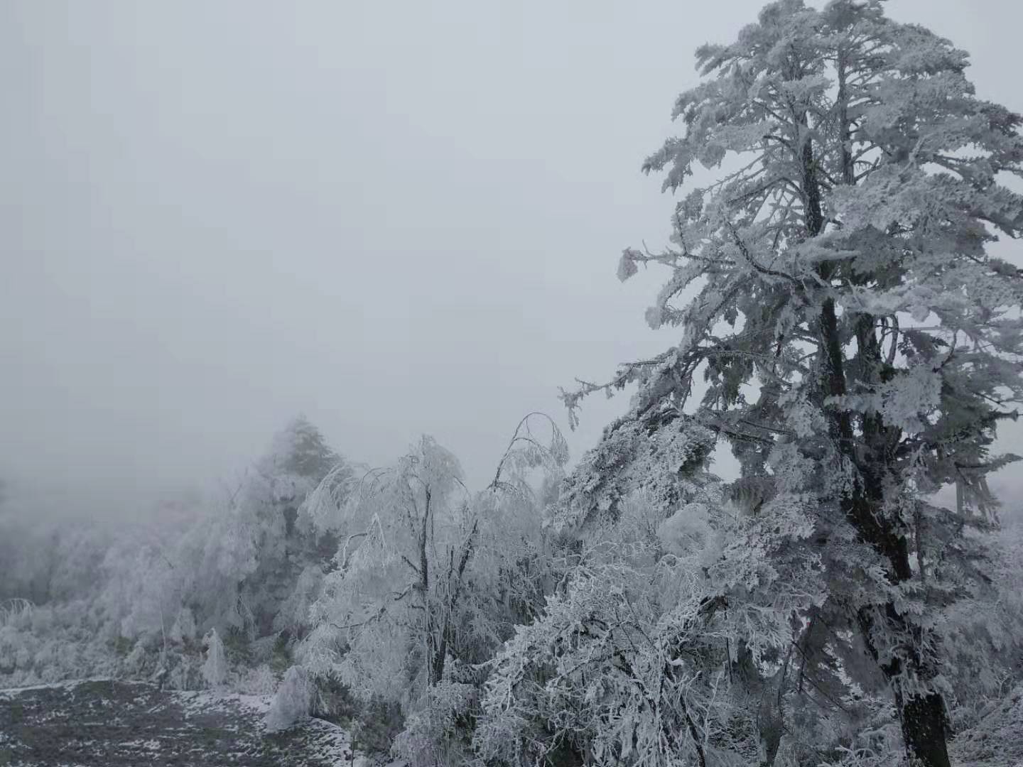 /Upload/201912/微信图片_201912231651163.jpg
