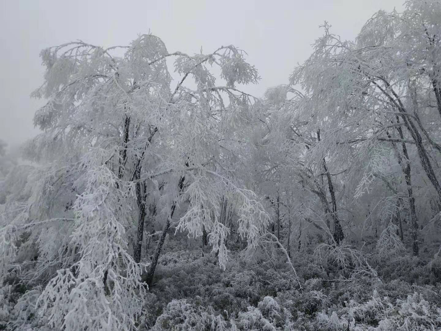 /Upload/201912/微信图片_201912231651166.jpg