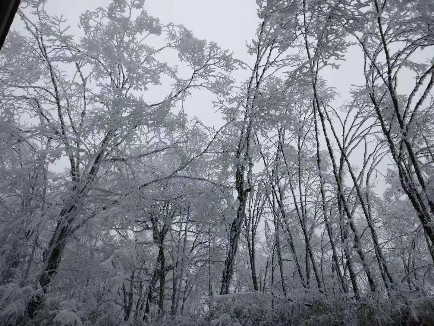 /Upload/201912/微信图片_201912231656135.jpg